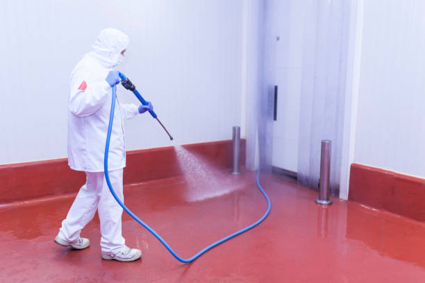 Professional Pressure Washing Services in Bethlehem Village, CT